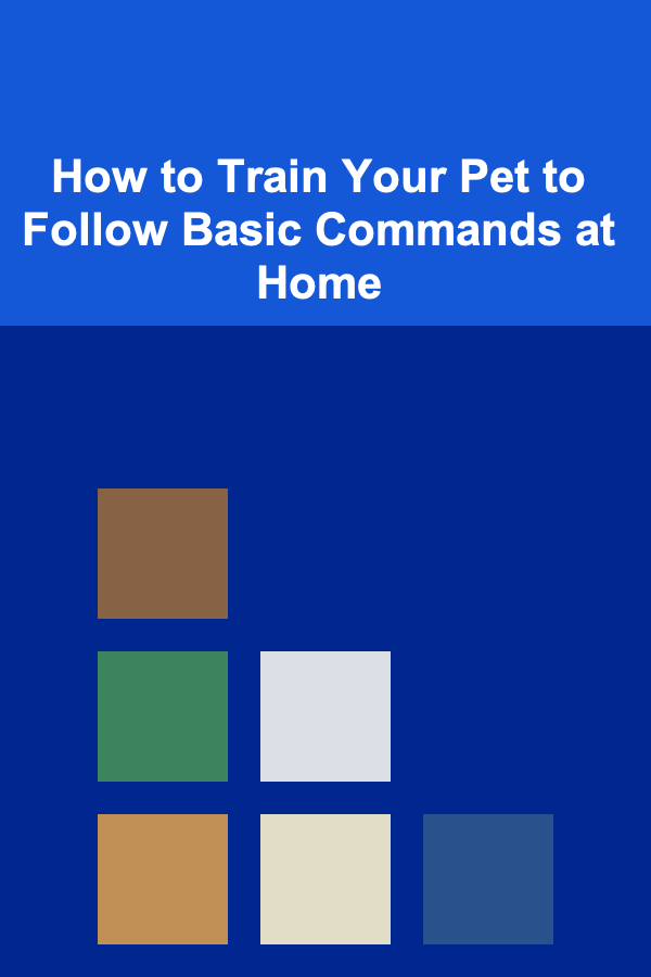 How to Train Your Pet to Follow Basic Commands at Home