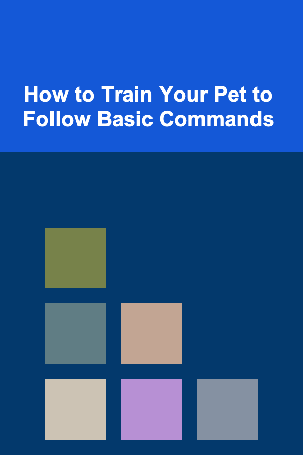 How to Train Your Pet to Follow Basic Commands