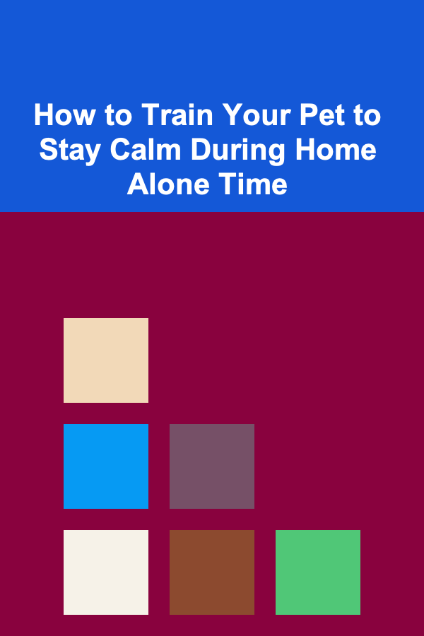 How to Train Your Pet to Stay Calm During Home Alone Time