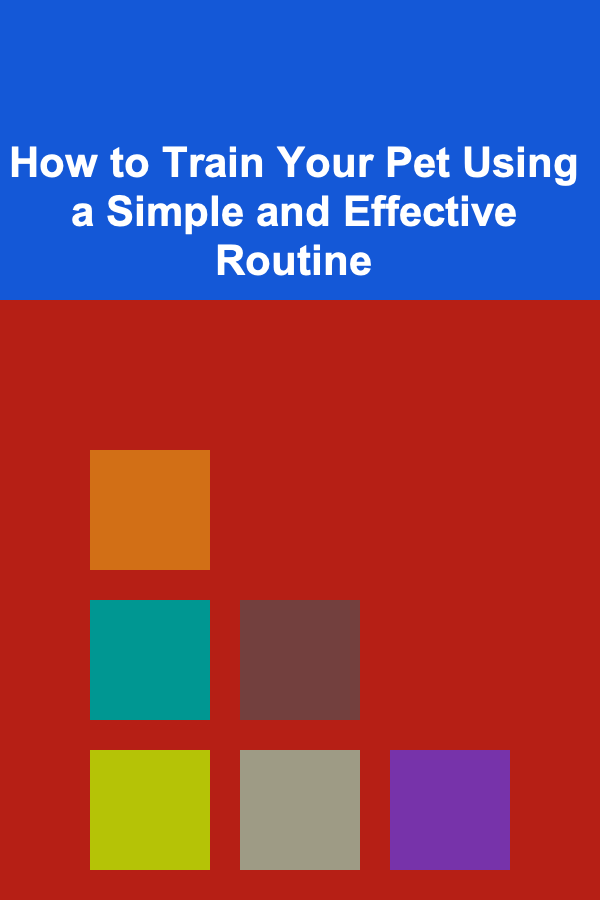 How to Train Your Pet Using a Simple and Effective Routine