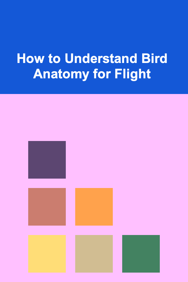 How to Understand Bird Anatomy for Flight