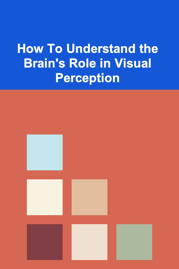 How To Understand the Brain's Role in Visual Perception