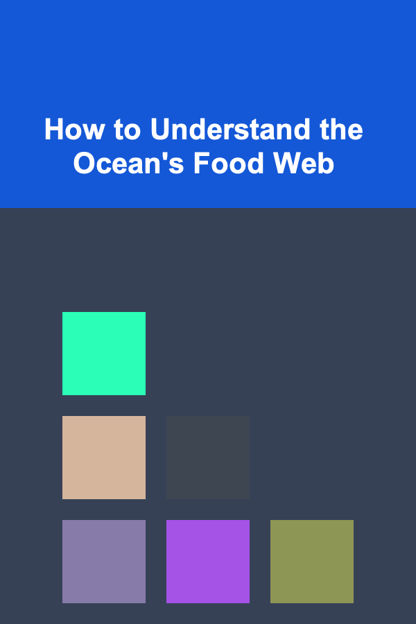 How to Understand the Ocean's Food Web