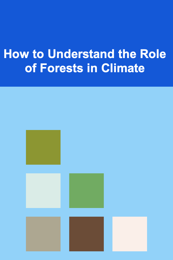 How to Understand the Role of Forests in Climate