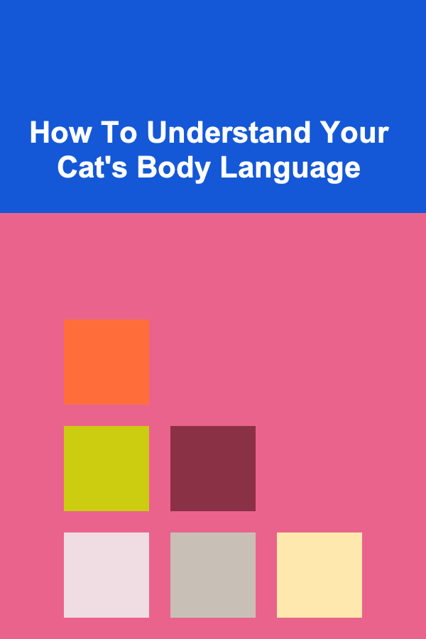 How To Understand Your Cat's Body Language
