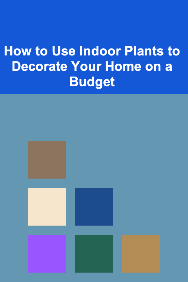 How to Use Indoor Plants to Decorate Your Home on a Budget
