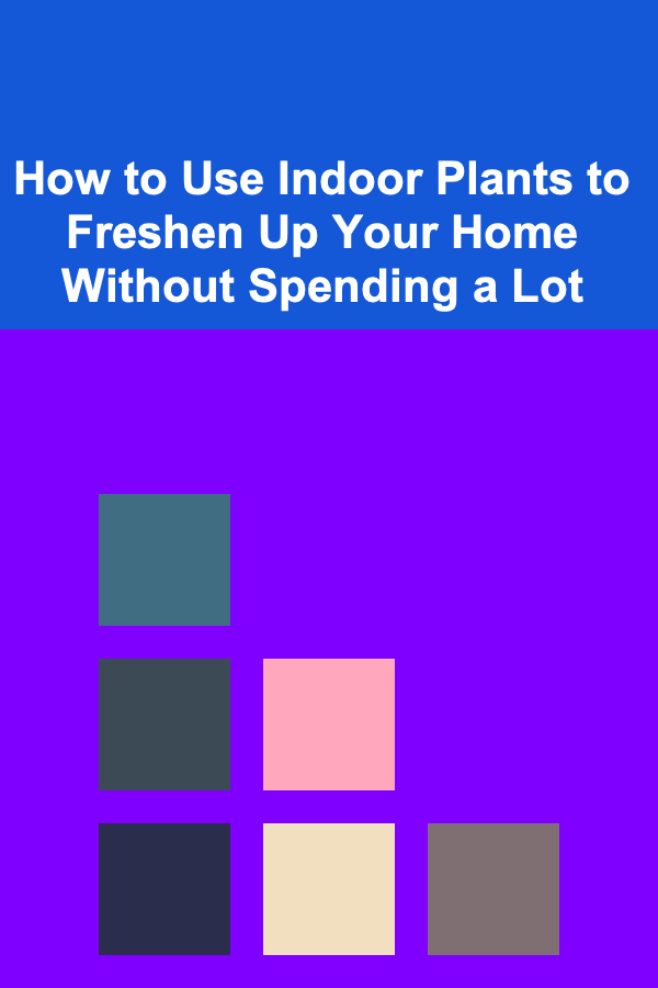How to Use Indoor Plants to Freshen Up Your Home Without Spending a Lot