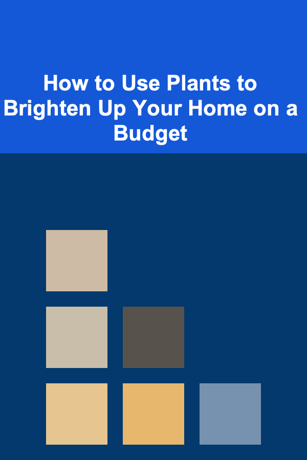 How to Use Plants to Brighten Up Your Home on a Budget