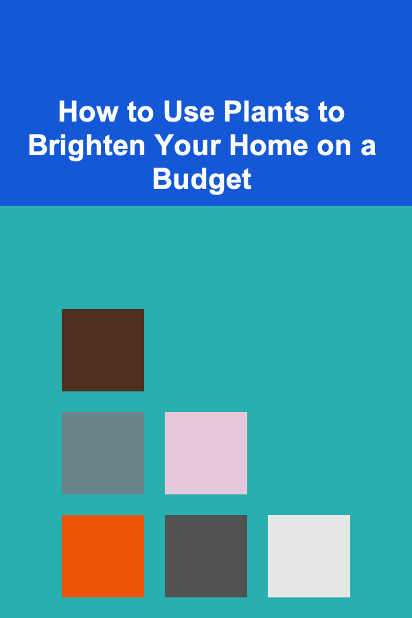 How to Use Plants to Brighten Your Home on a Budget