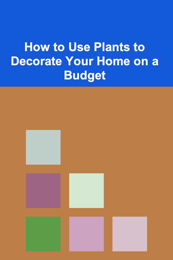 How to Use Plants to Decorate Your Home on a Budget