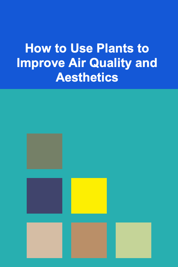 How to Use Plants to Improve Air Quality and Aesthetics