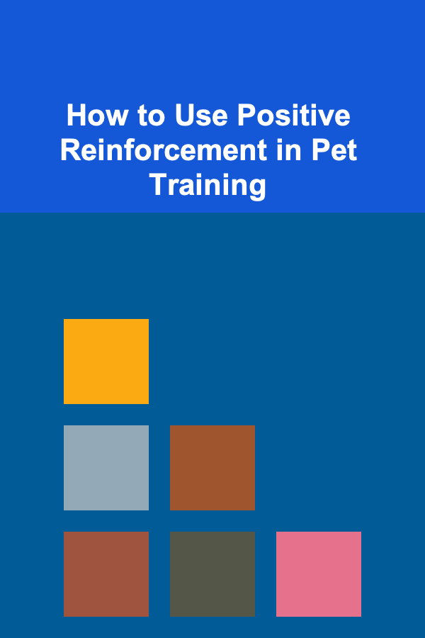How to Use Positive Reinforcement in Pet Training