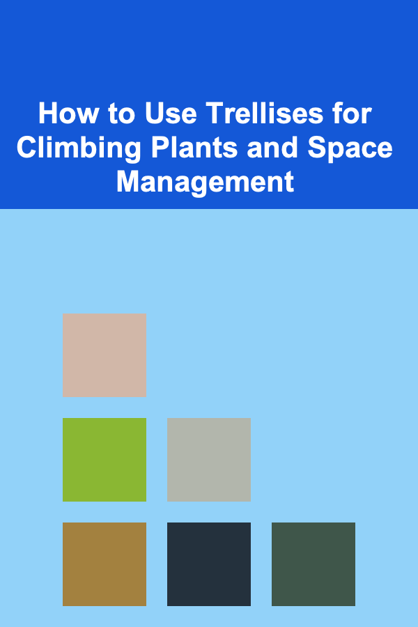 How to Use Trellises for Climbing Plants and Space Management