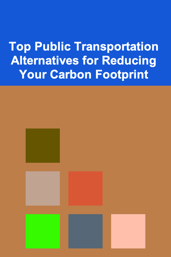 Top Public Transportation Alternatives for Reducing Your Carbon Footprint