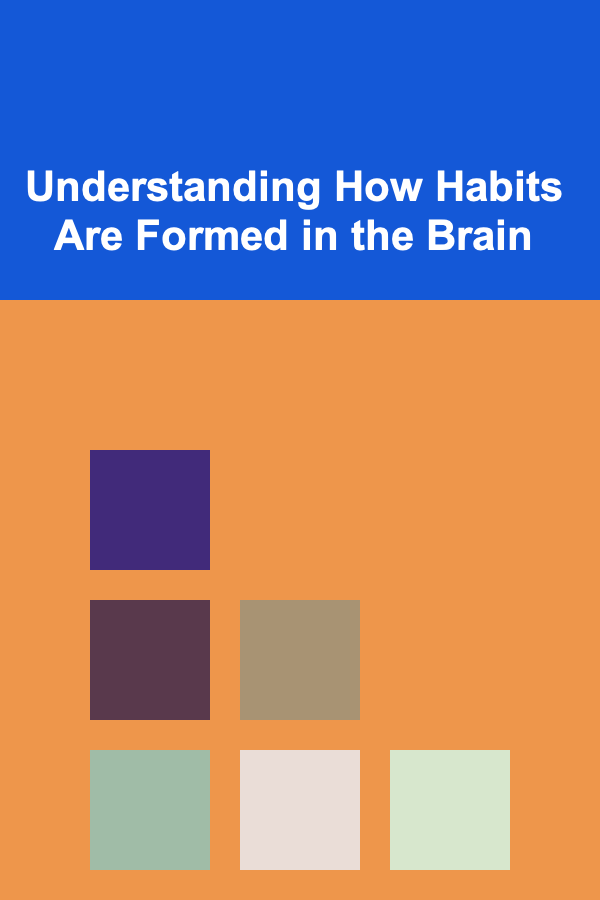 Understanding How Habits Are Formed in the Brain