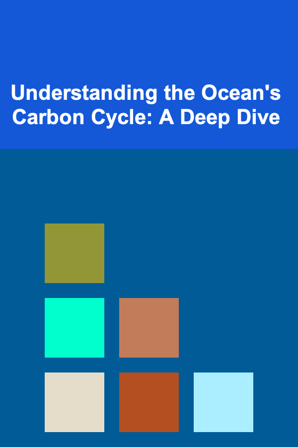 Understanding the Ocean's Carbon Cycle: A Deep Dive